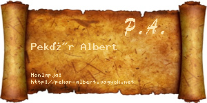 Pekár Albert névjegykártya
